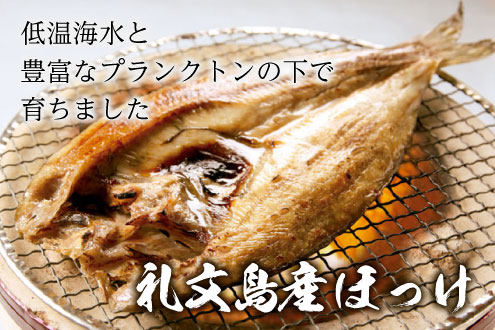 礼文島産ほっけ