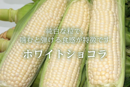 ホワイトショコラ